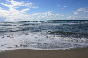 IMG_7651.jpg
