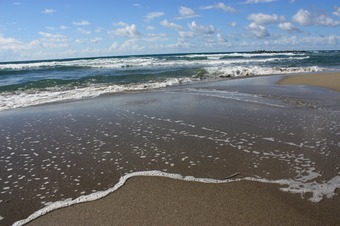IMG_7661.jpg