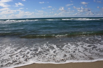 IMG_7662.jpg