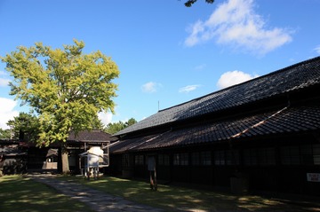 IMG_7668.jpg