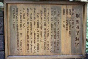 IMG_7765.jpg