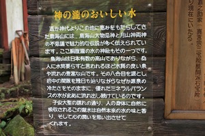 IMG_7766.jpg