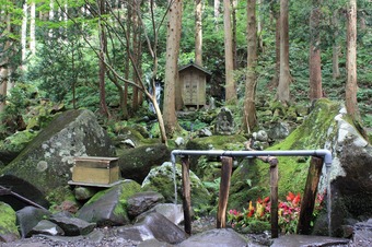 IMG_7767.jpg