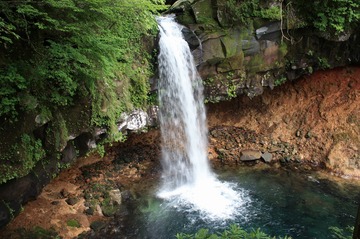 IMG_7775.jpg