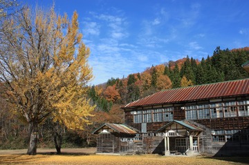 IMG_7832.jpg