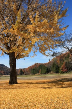 IMG_7846.jpg