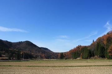 IMG_7850.jpg