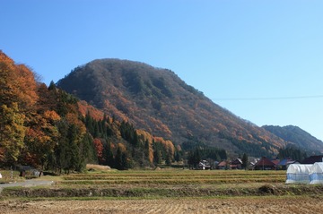 IMG_7851.jpg