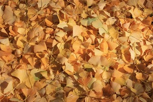 IMG_7861.jpg