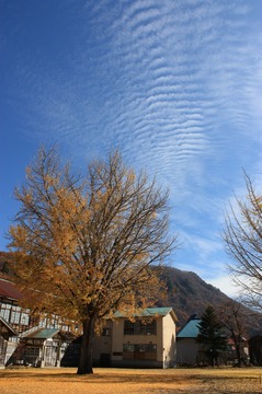 IMG_7864.jpg