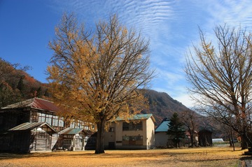 IMG_7865.jpg