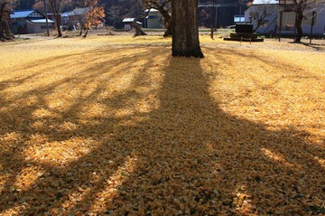 IMG_7875.jpg