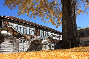 IMG_7881.jpg