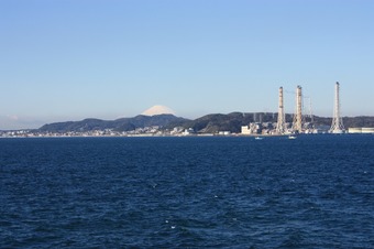 IMG_7919.jpg