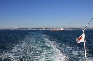 IMG_7923.jpg