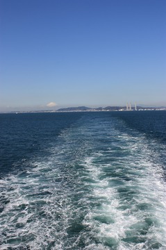 IMG_7927.jpg