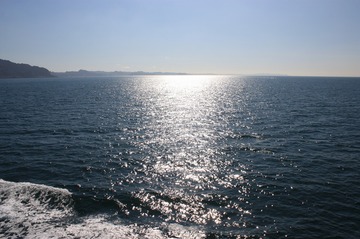 IMG_7929.jpg
