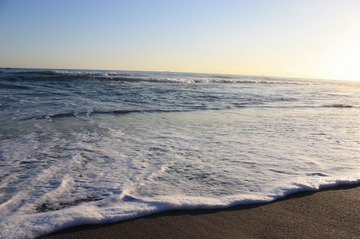 IMG_7942.jpg