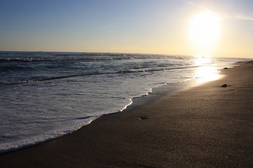 IMG_7943.jpg