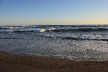IMG_7945.jpg