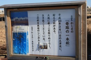 IMG_8023.jpg