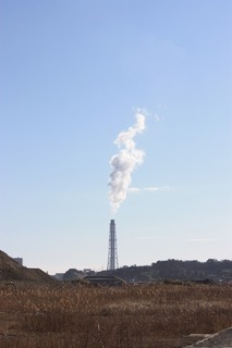 IMG_8031.jpg