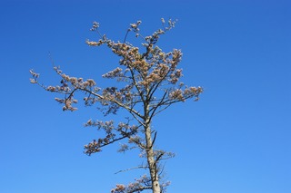 IMG_8034.jpg