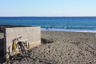IMG_8100.jpg