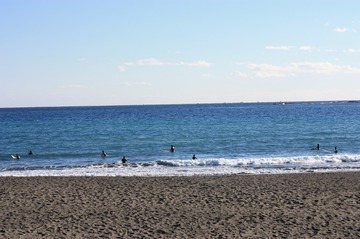 IMG_8101.jpg