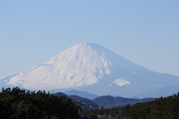 IMG_8109.jpg
