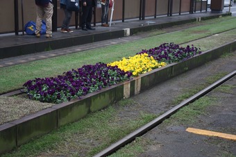 IMG_8206.jpg
