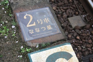 IMG_8242.jpg