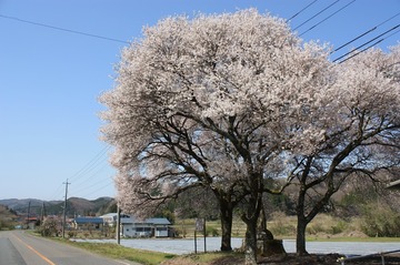 IMG_8278.jpg