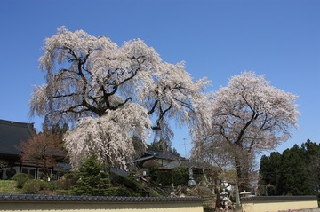 IMG_8294.jpg