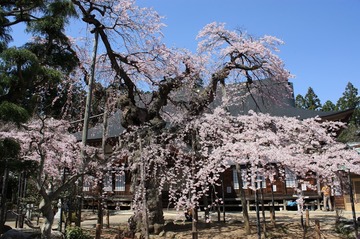IMG_8340.jpg