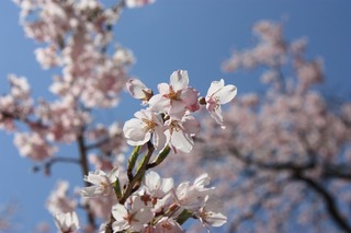IMG_8345.jpg