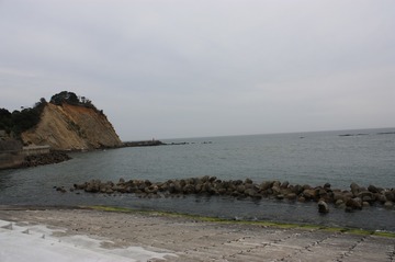 IMG_8407.jpg
