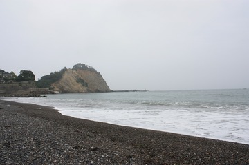 IMG_8463.jpg