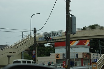 IMG_8479.jpg
